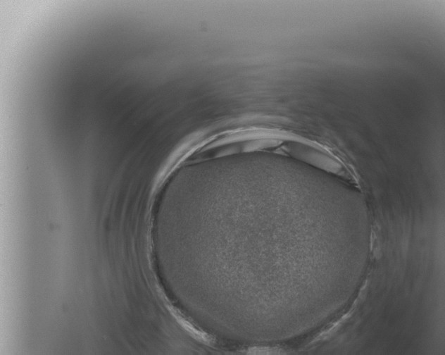 X0000080100101200612221749