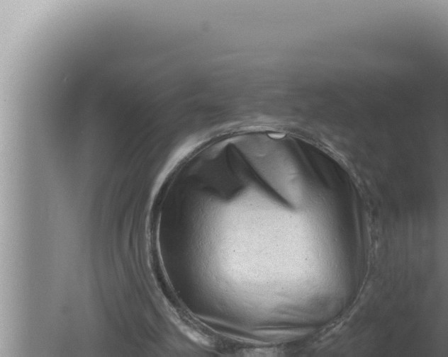 X0000080100102200612221749