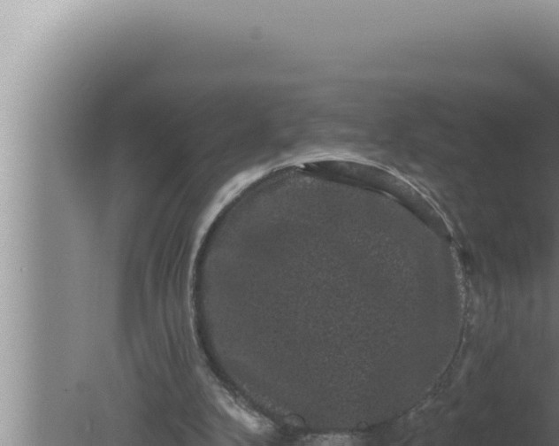 X0000080100104200612221749