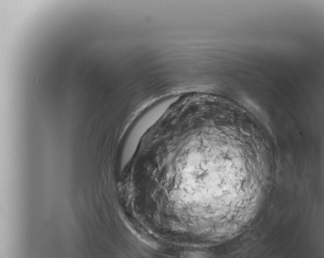 X0000080100107200612221749