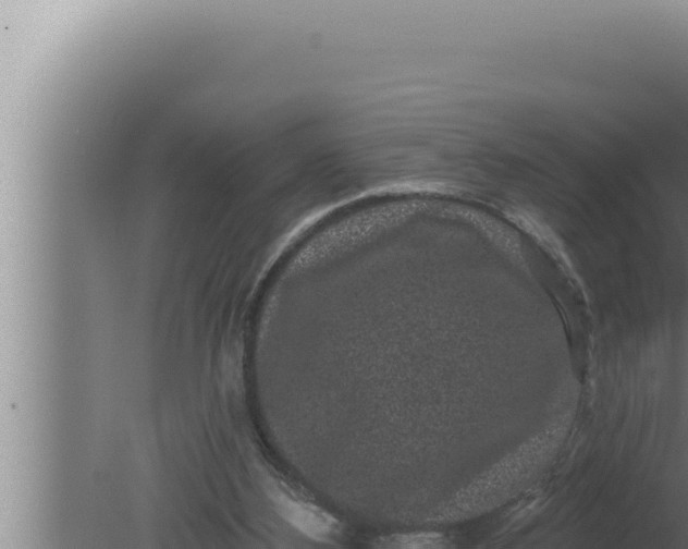 X0000080100108200612221749