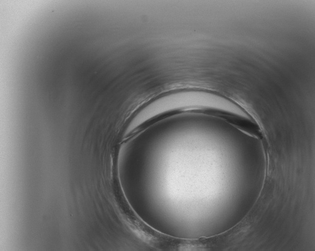 X0000080100109200612221749