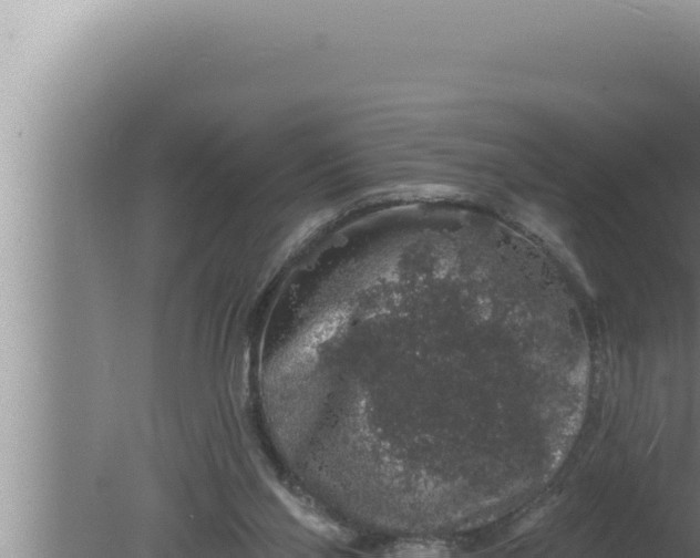 X0000080100110200612221749