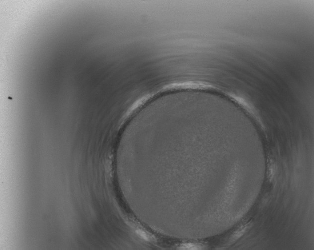 X0000080100111200612221749