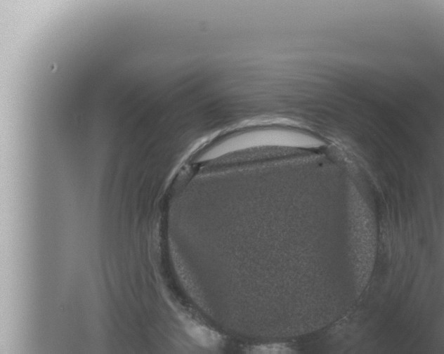 X0000080100112200612221749