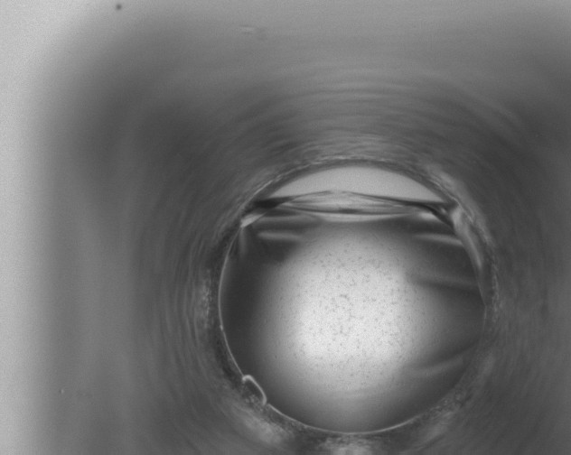 X0000080100113200612221749