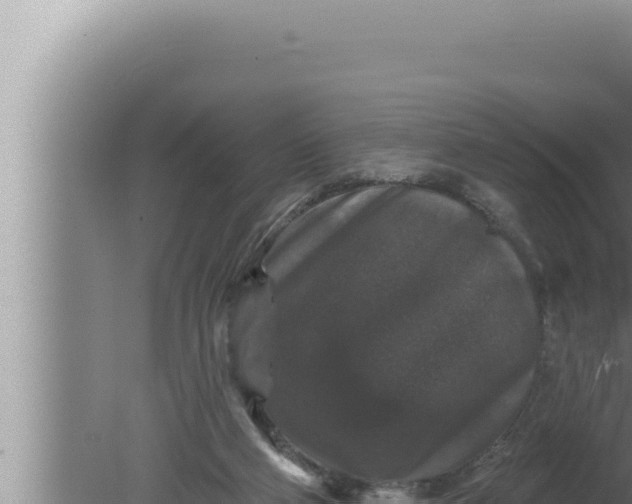 X0000080100114200612221749