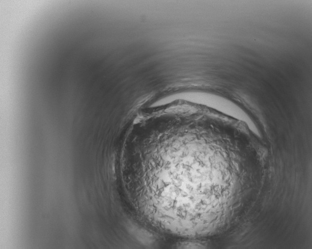 X0000080100115200612221749