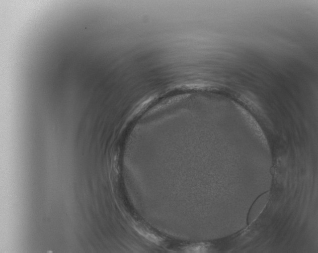 X0000080100116200612221749