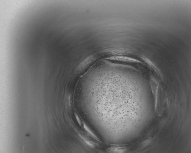 X0000080100117200612221749