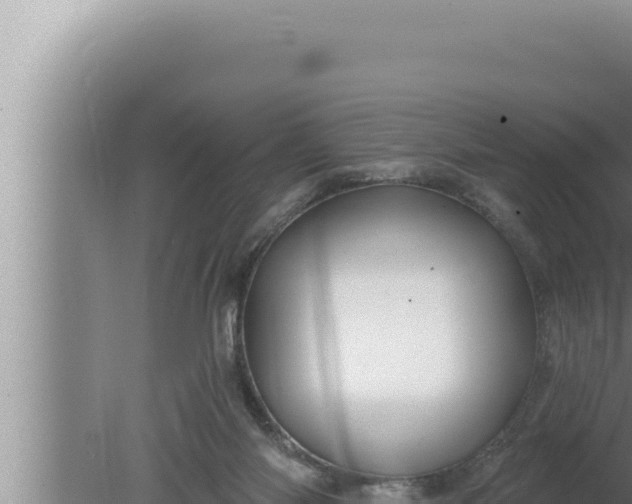 X0000080100118200612221749