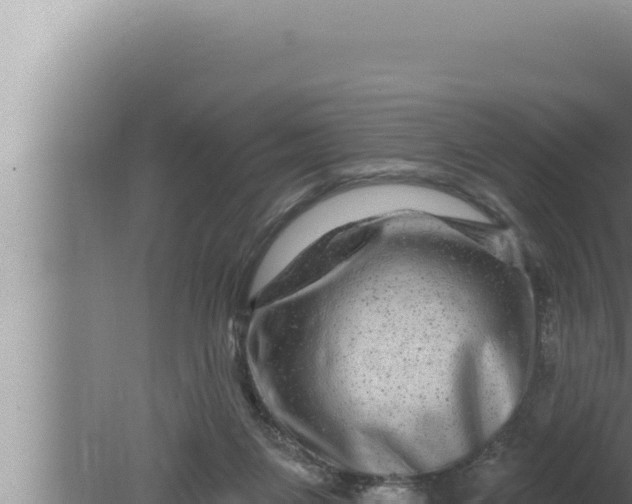 X0000080100119200612221749