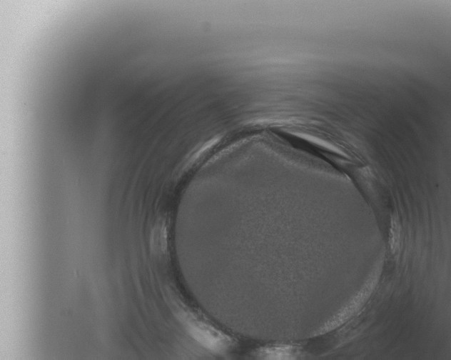 X0000080100120200612221749