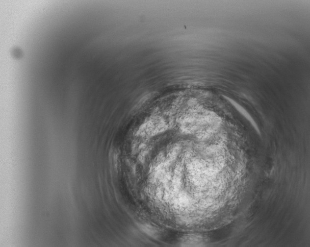 X0000080100123200612221749