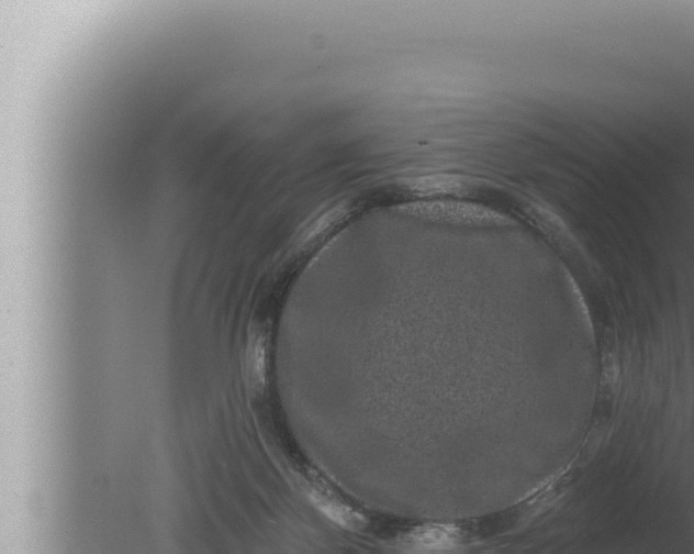 X0000080100124200612221749