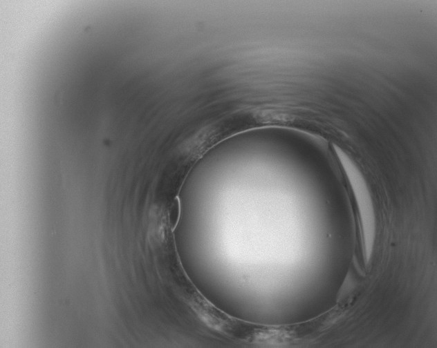 X0000080100125200612221749