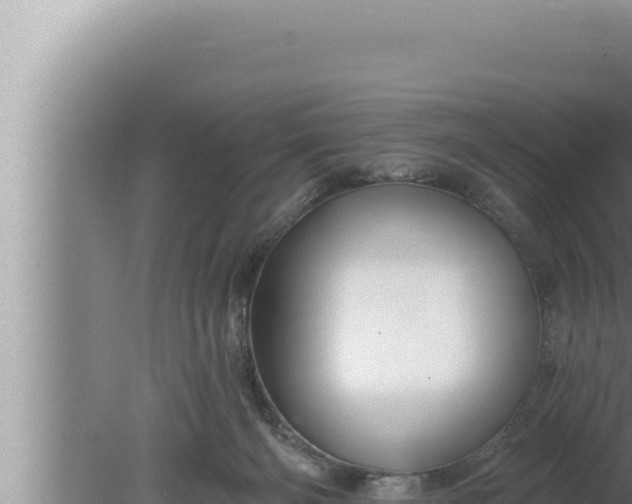 X0000080100126200612221749