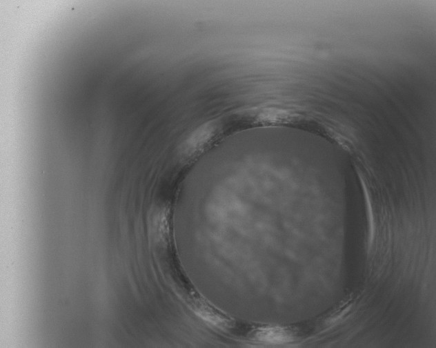 X0000080100127200612221749