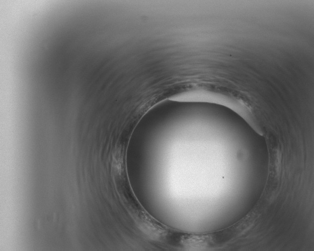 X0000080100129200612221748