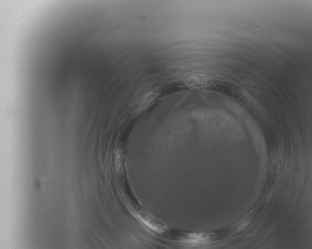 X0000080100130200612221748