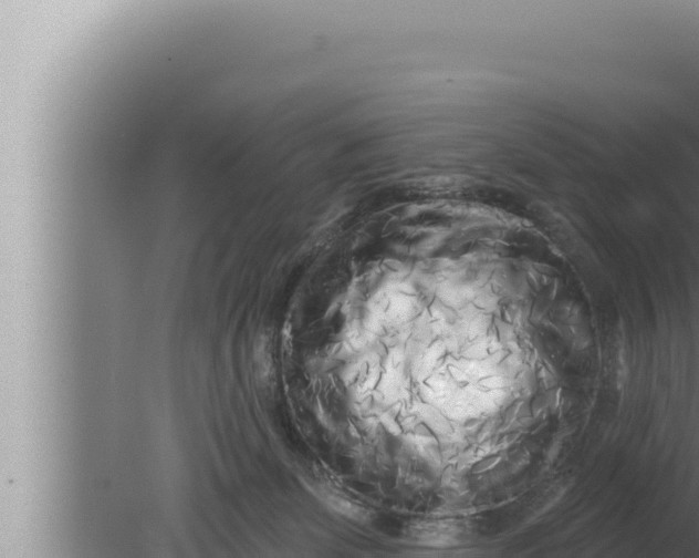 X0000080100131200612221748