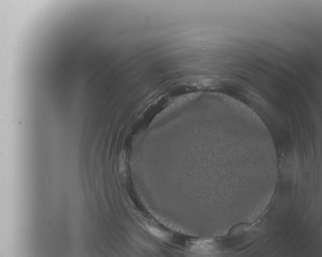 X0000080100132200612221748