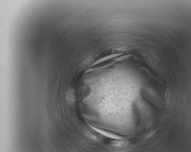 X0000080100135200612221748