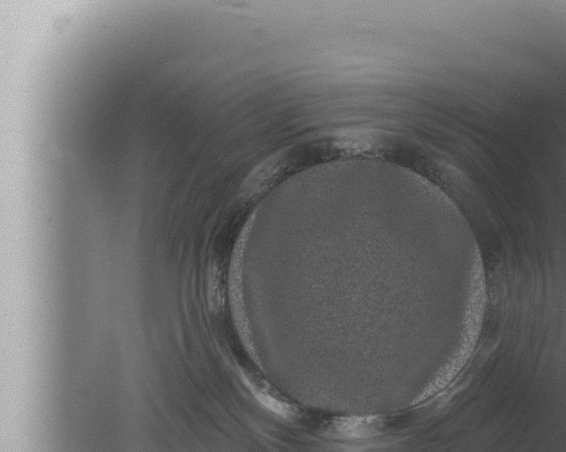 X0000080100136200612221748