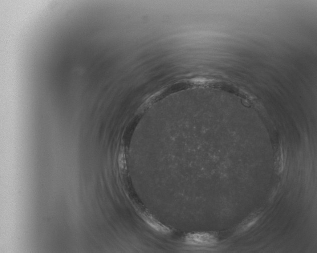 X0000080100137200612221748