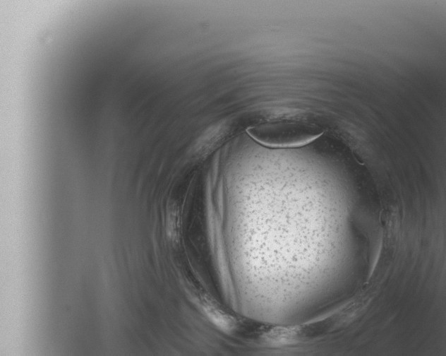 X0000080100138200612221748