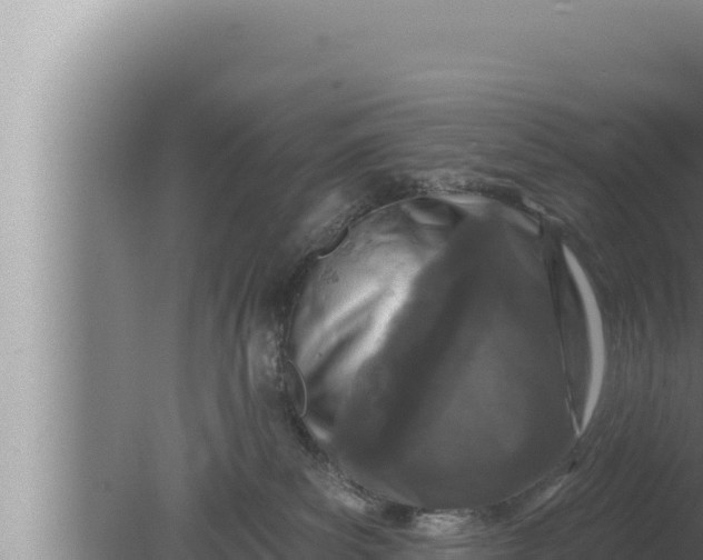 X0000080100139200612221748