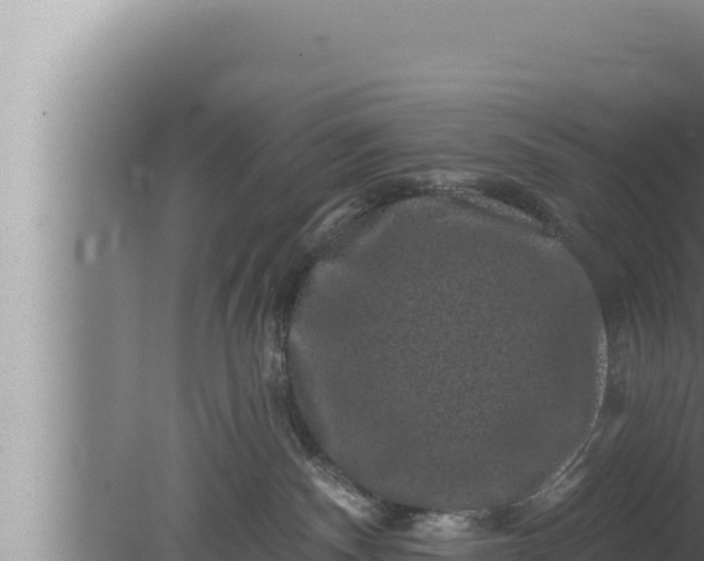 X0000080100140200612221748