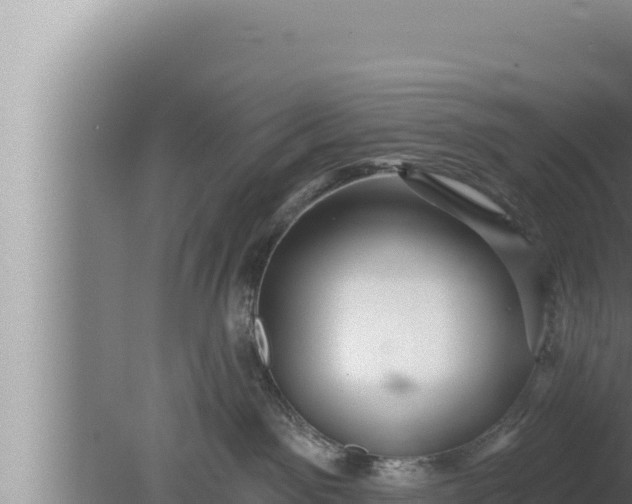 X0000080100141200612221748