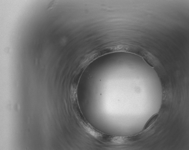 X0000080100142200612221748