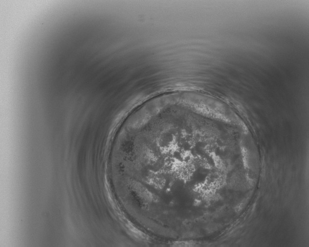 X0000080100145200612221747