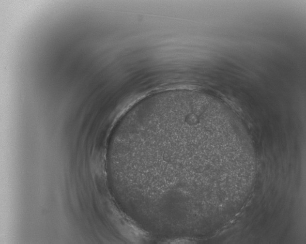 X0000080100146200612221747