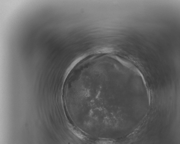 X0000080100147200612221747