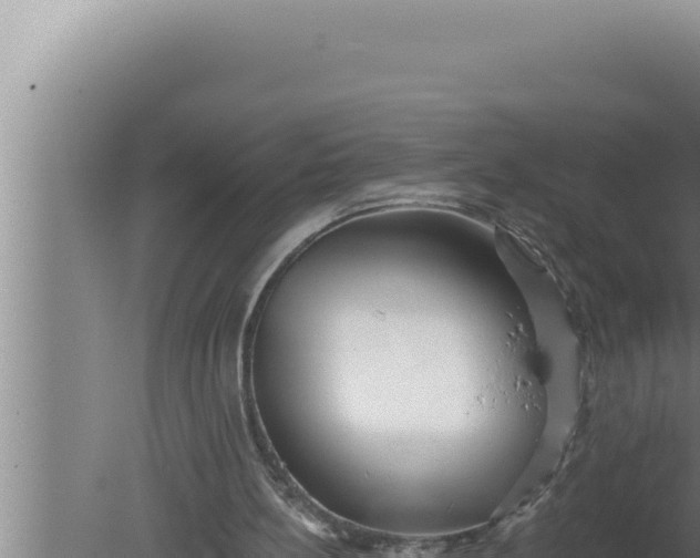 X0000080100148200612221747