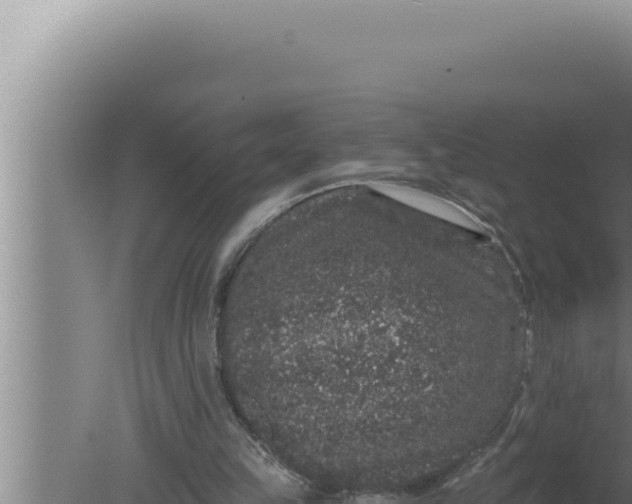 X0000080100149200612221747