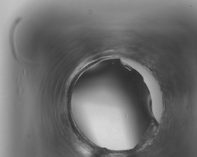 X0000080100150200612221748