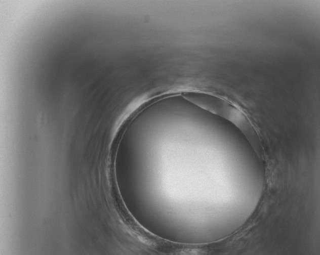 X0000080100152200612221748