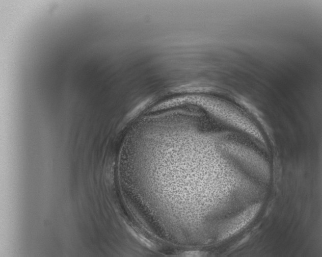 X0000080100153200612221748