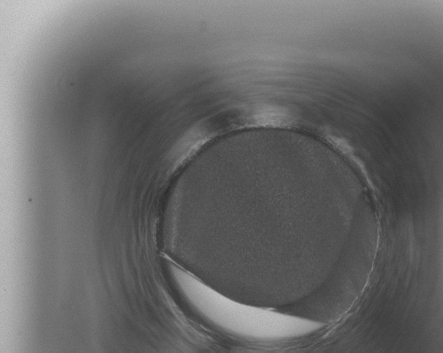 X0000080100154200612221748