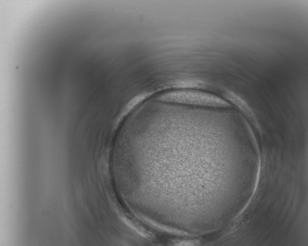 X0000080100155200612221748