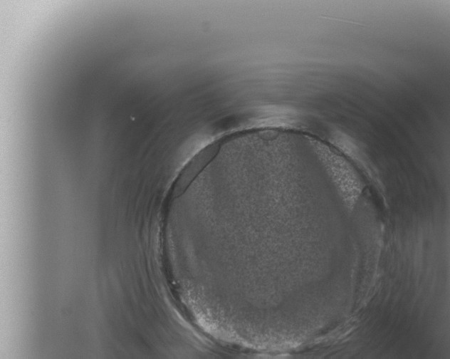 X0000080100156200612221748