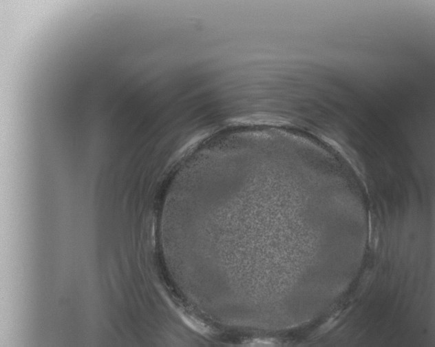 X0000080100157200612221748