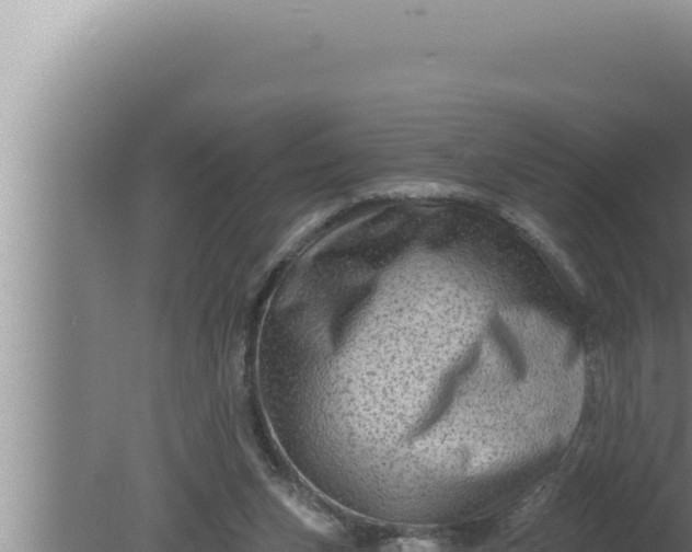 X0000080100159200612221748