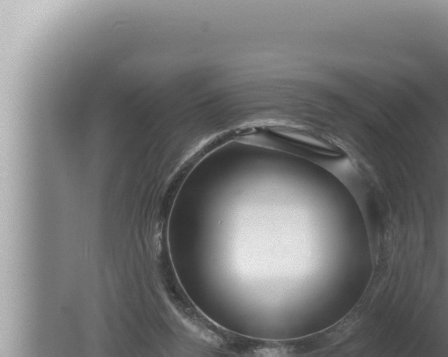 X0000080100160200612221748