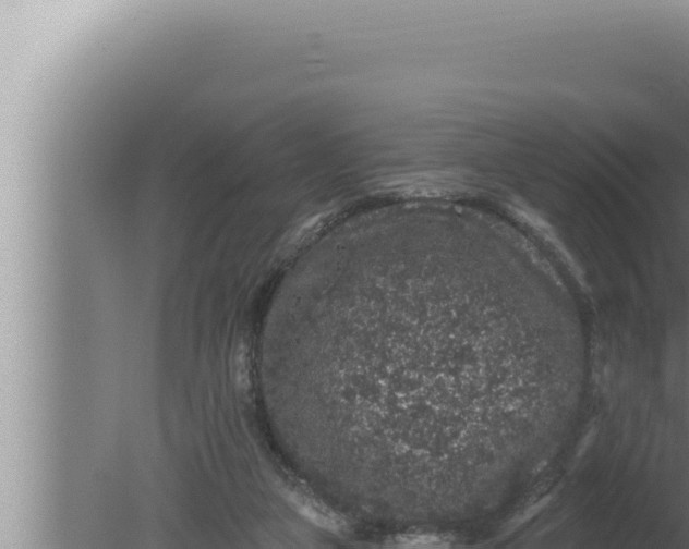 X0000080100161200612221748