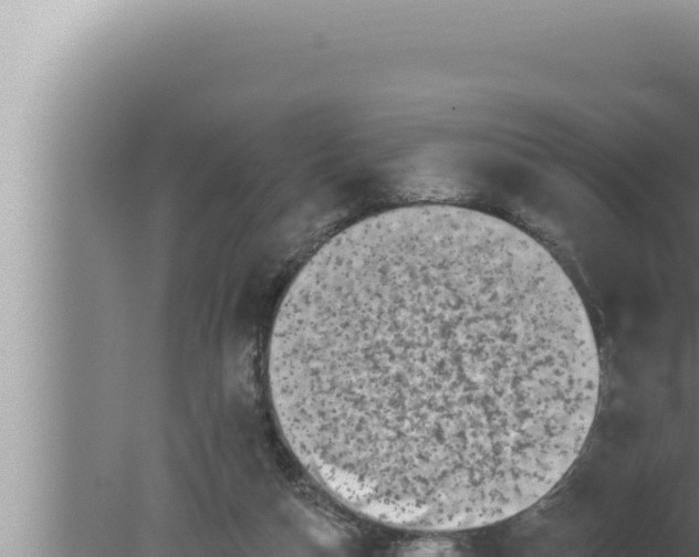 X0000080100162200612221748